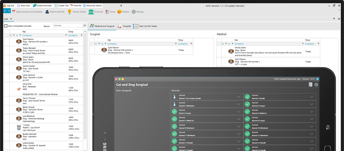 Veterinary management software displayed